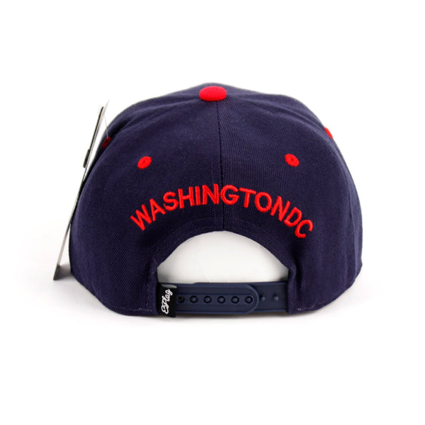 snapback caps/Washington DC
